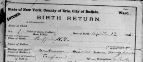City of Buffalo Birth Records: 1850-1881