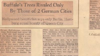 Trees in and around Buffalo. [1901 - 1962]