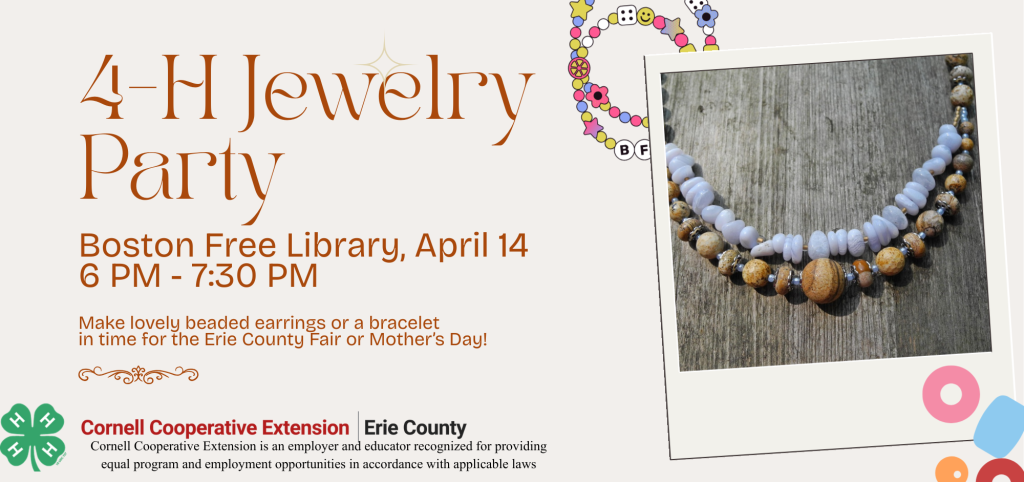4-H Jewelry Party