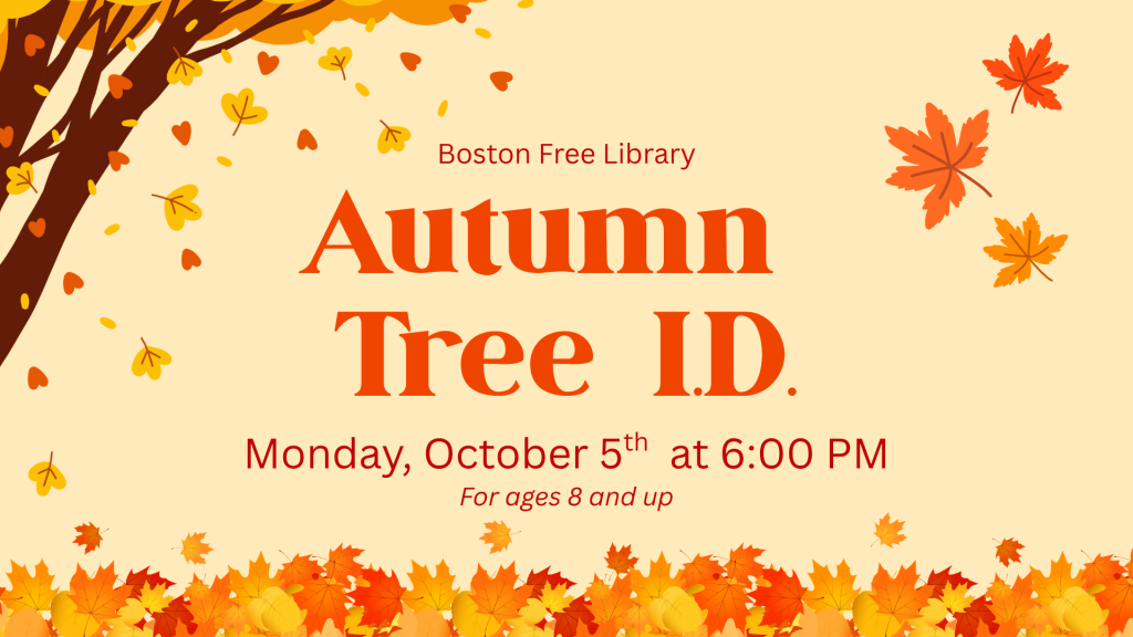 Autumn Tree I.D.