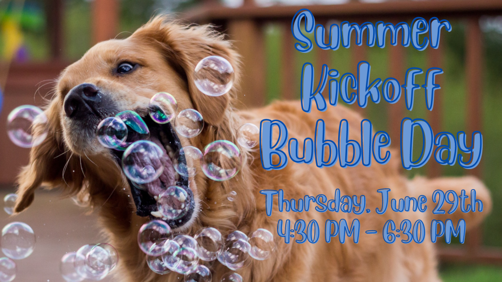 Bubble Day