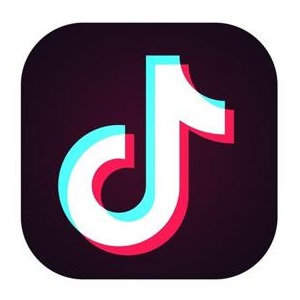 TikTok Icon