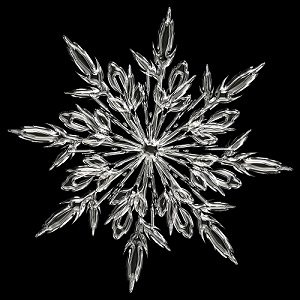 snow crystal