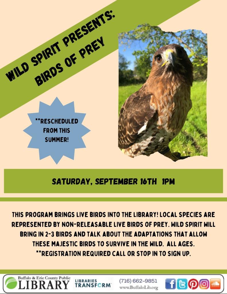 Wild Spirit presents Birds of Prey Saturday September 16th at 1pm. Stop in or call 716-662-9851 to sign up. 